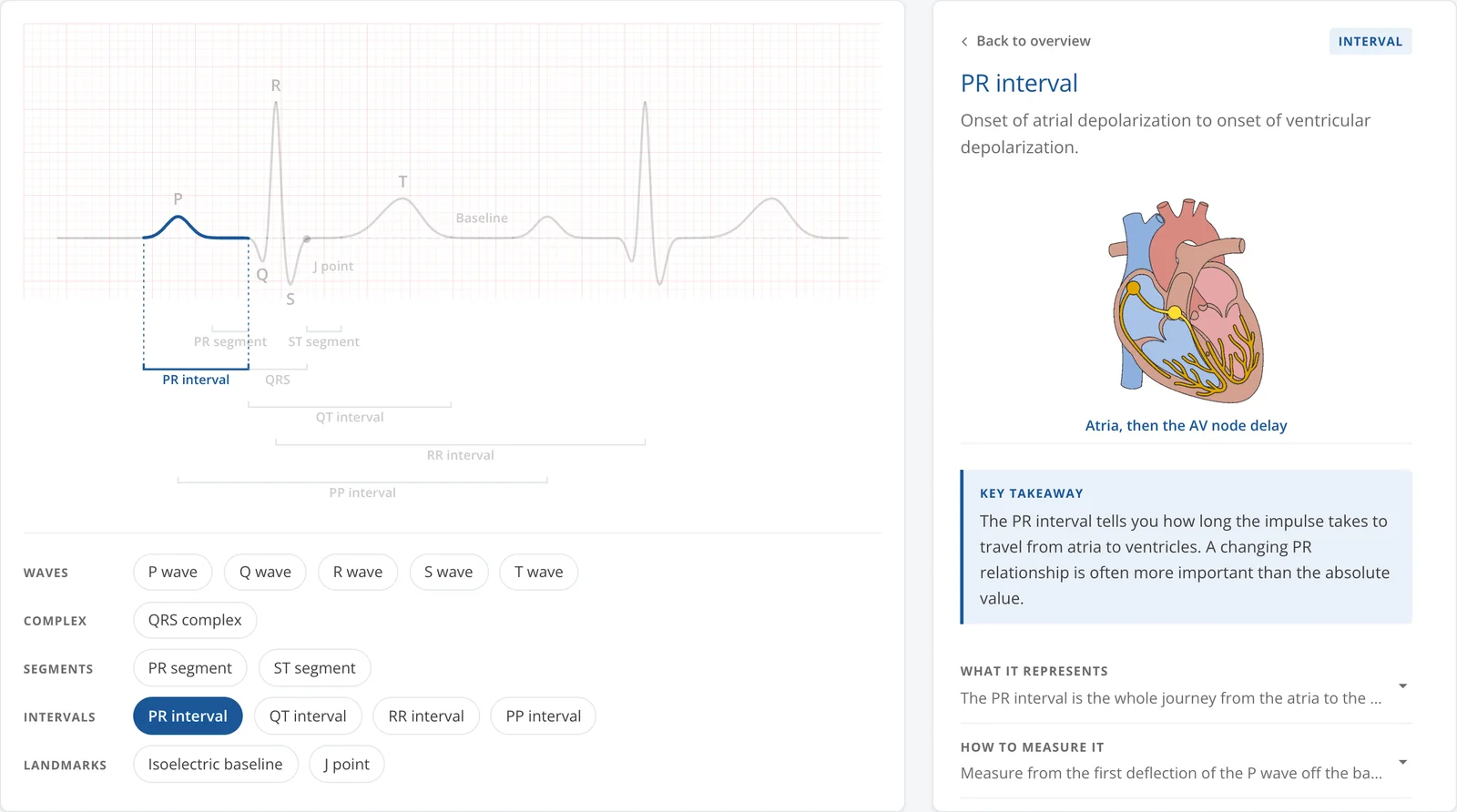 ECG Anatomy page with the PR interval highlighted on the complex and explained beside a heart conduction diagram