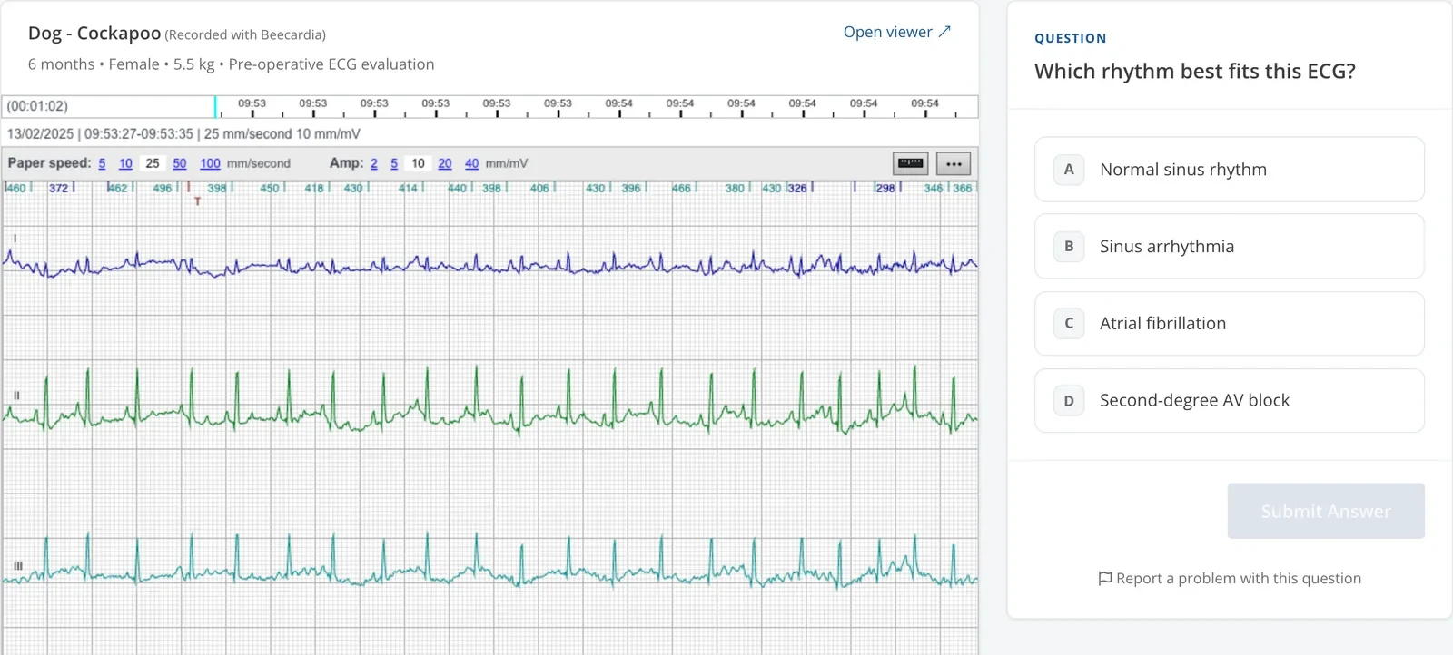A practice quiz question showing a real canine ECG in the Beecardia viewer next to four answer options