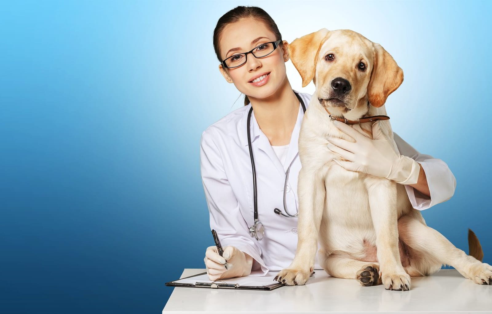 Veterinary ECG Library