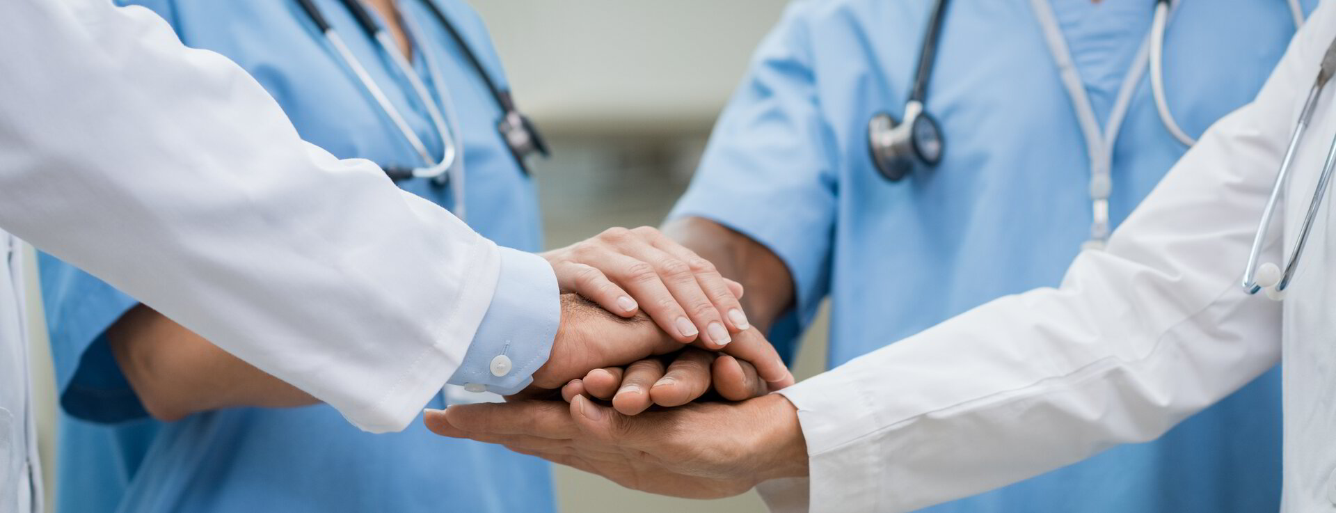 Veterinary team joining hands